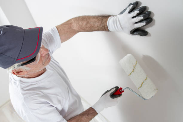 Best Drywall Sanding and Smoothing  in Germantown, WI